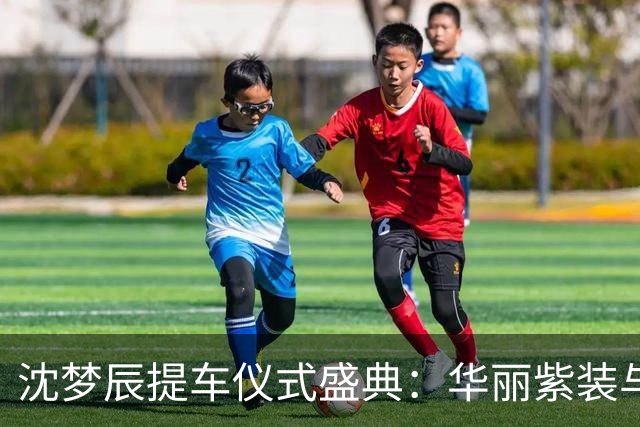 沈梦辰提车仪式盛典：华丽紫装与甜蜜氛围引人瞩目